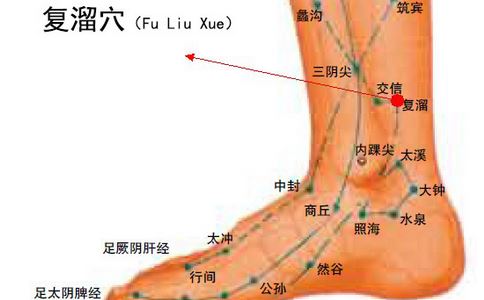 保养卵巢的穴位 卵巢保养 卵巢保养穴位