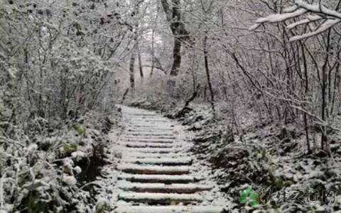 北京降雪 下雪天要注意什么