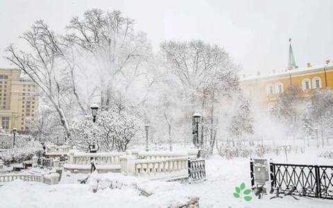 莫斯科降雪破纪录 雪天出行要注意什么