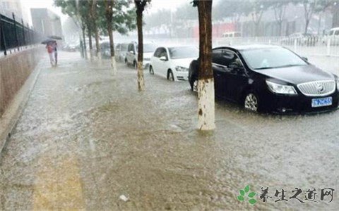 青岛暴雨 暴雨预警信号等级如何划分