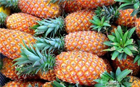 香蕉崩完凤梨崩 凤梨的吃法有哪些