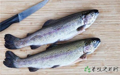 虹鳟出标准后滞销 虹鳟鱼的营养价值