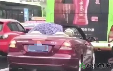 打伞开敞篷跑车 哪些行为属危险驾驶