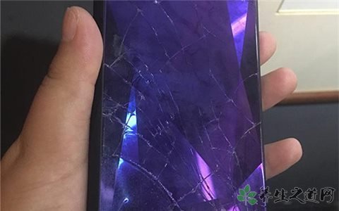 广西野导群殴游客 遭遇黑心导游怎么办