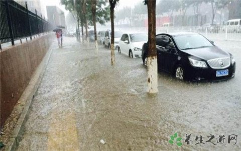 高校老师被树砸倒 暴雨天气外出注意事项