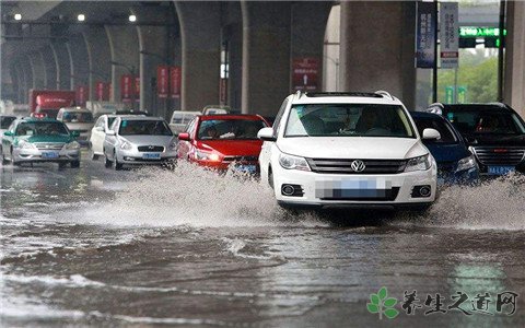 高校老师被树砸倒 暴雨天气外出注意事项