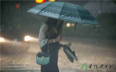 高校老师被树砸倒 暴雨天气外出注意事项