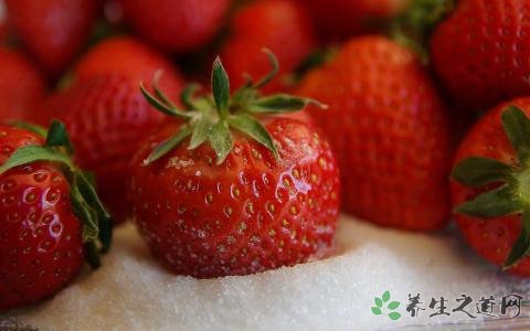 澳大利亚草莓藏针 吃草莓有什么好处