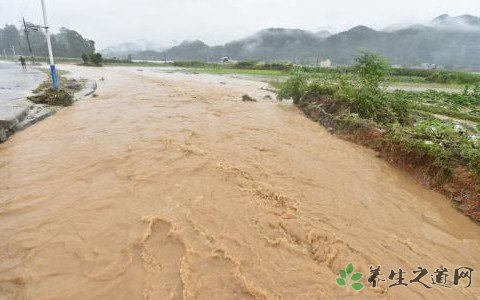 四川洪涝灾害 发生洪涝灾害注意什么