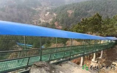 湖北滑道挤压事故 游乐场游玩的注意事项