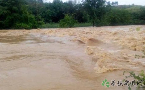 暴雨洪涝救援工作 洪涝过后预防什么疾病