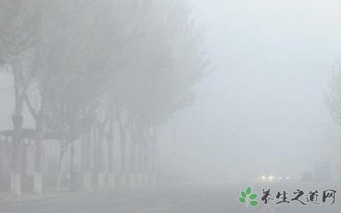 四川大雾高速关闭 雾天开车注意什么