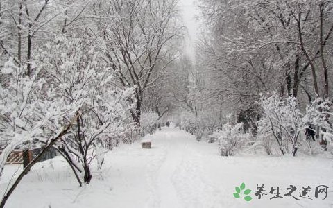 玉树雪灾启动救灾 大雪天气的安全注意事项