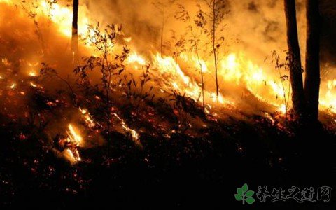 深圳发生森林火灾 如何防止森林火灾的发生