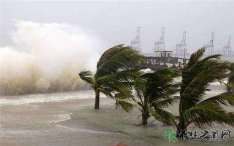 台风独坐海边被救 台风来临前后注意事项