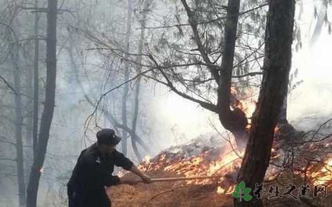 云南昭通森林火灾 如何预防深林火灾的发生